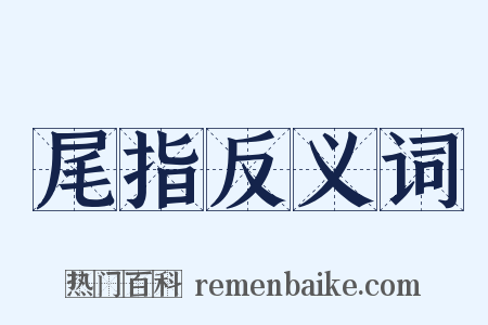 尾指反义词是什么意思的图片